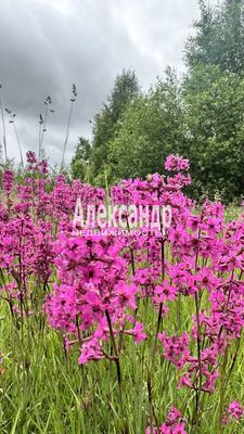 Купить  участок